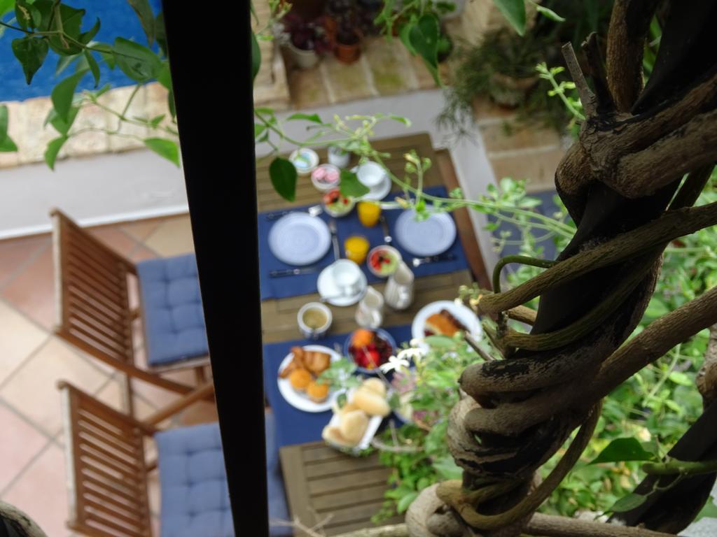Casa La Loba Ξενοδοχείο Medina-Sidonia Εξωτερικό φωτογραφία